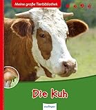 Esslinger in der Thienemann-Esslinger Verlag GmbH