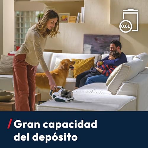 Miniatura 6 de Hoover Aspirador De Mano Hmc5 Para Colchones: Limpieza Eficaz, 4 Funciones Automáticas: Beat Roll, Aspirado, Luzuv Y Secado. Modelo Ligero Y Manejable. Elimina El Polvo En Colchones, Sofás, Tapicerías