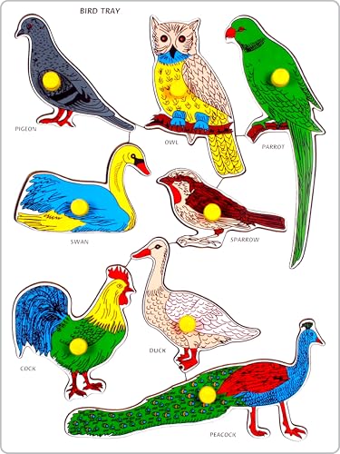 Image of Little Genius Bird Tray Puzzle with Knob, Illustrative Educational Toy(SP-15)