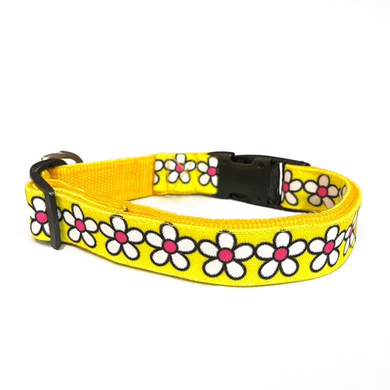 High On Dogs Summer Daisies Dog Collar - Size S (B0D8Y8R5MN) Amazon Price History, Amazon Price Tracker