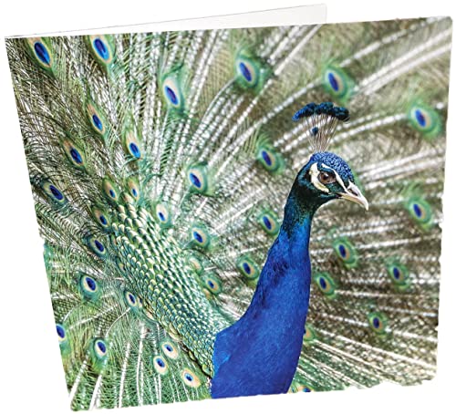 Biglietto di auguri di compleanno quadrato con