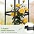 Garden Obelisk Trellis for Climbing Plants Outdoor, 6.2 FT Tomato Cage, Rose, Flowers, Grape, Pea, Cucumber Trellis, Rustproof Plastic Coated Metal Plant Support Trellis for Potted Plants (2 Pack)