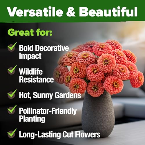 Image of HOME GROWN Coral Zinnia Seeds (1g) - 600 Zinnia elegans Annual Flower Seeds for Planting Outdoors - Heat Tolerant Easy Summer Flowers to Plant - Herb Seed Companion for Pollinator Garden Beds for 2026