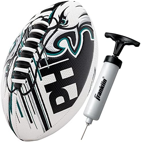 NFL Team Mini Footballs