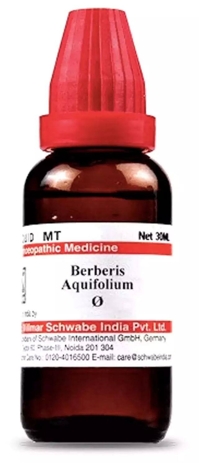 Dr.Willmar Schwabe Berberis Aquifolium Q - 100ml - Mother Tincture