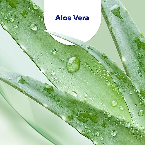 Sagrotan Hand-Desinfektionsgel mit Aloe Vera – Desinfektionsmittel für die Hände in praktischer Reisegröße – 1 x 50 ml
