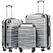 Coolife Luggage Expandable Suitcase 3 Piece Set with TSA Lock Spinner 20in24in28in (sliver)