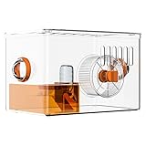 Biigdan 360° Vollansicht Hamsterkäfig 31.5x21.5x20.5cm,2 Etagen Belüftet Kleintierkäfig,Nagerkäfig mit 7 Mäusekäfig Zubehör,für Nager, Mäuse, Zwerghamster und andere Kleintiere zur Zucht und Haltung
