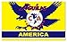 NEOPlex 3' x 5' America Soccer Club Soccer Flag