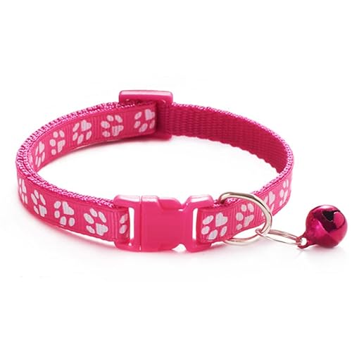 Seven Fox L   t  19F JCC qL 킢  (ZsN)