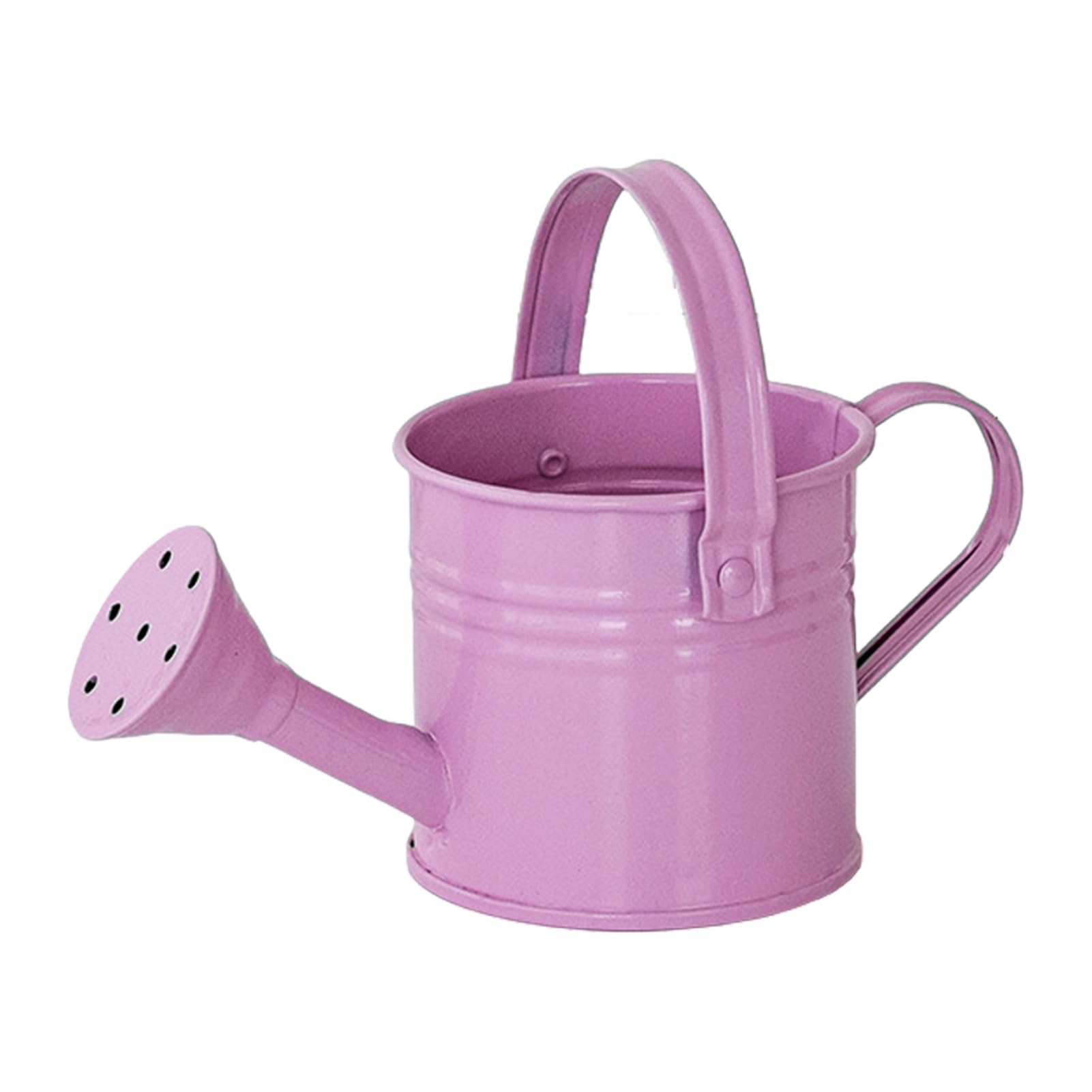 Glifora Storage Bucket with Handle - Thickened Anti-Rust Iron Container, Flower Pot Desktop Organiser for Makeup Brush and Pen