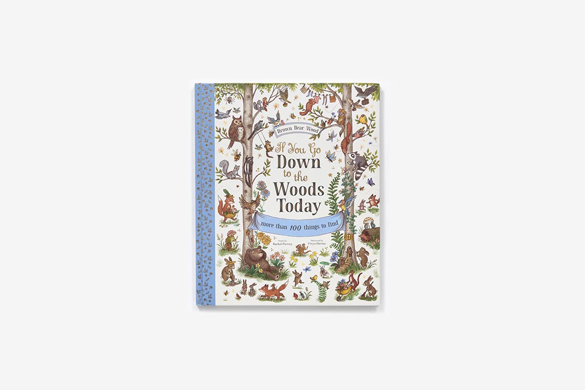 If You Go Down to the Woods Today: A Search and Find Adventure (Brown Bear Wood)