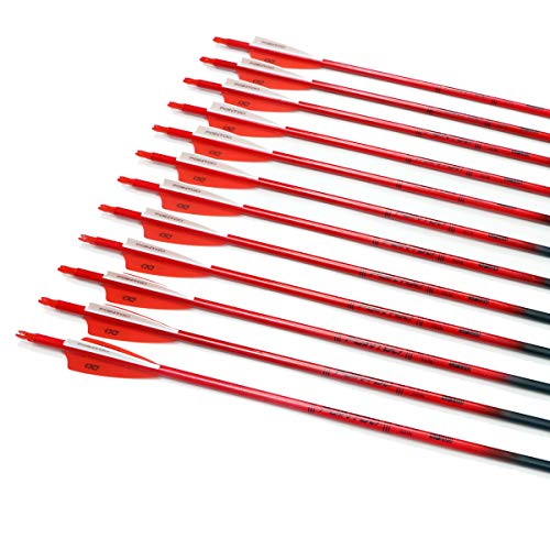 Pointdo 30inch Carbon Arrow Fluorescence Color Targeting and Hunting Practice Arrows for Recurve and Compound Bow with Removable Tips (Fluorescein Red) - Thumbnail 3
