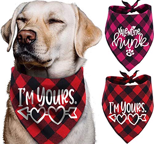 Dog Valentine Gifts