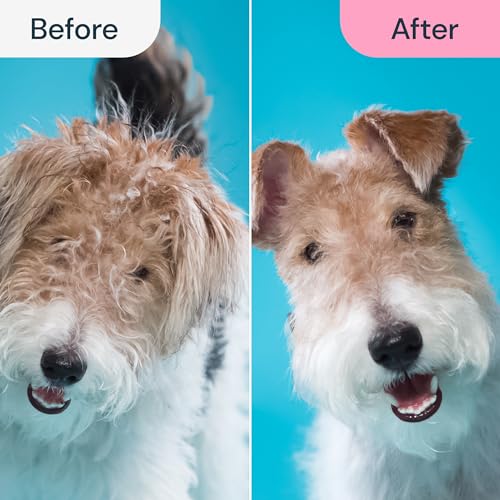 Malsipree Dog Grooming Brush For Shedding - 2 In 1 Deshedding Tool And Undercoat Rake For Long And Short Haired Dogs With Double Coat thumb #3