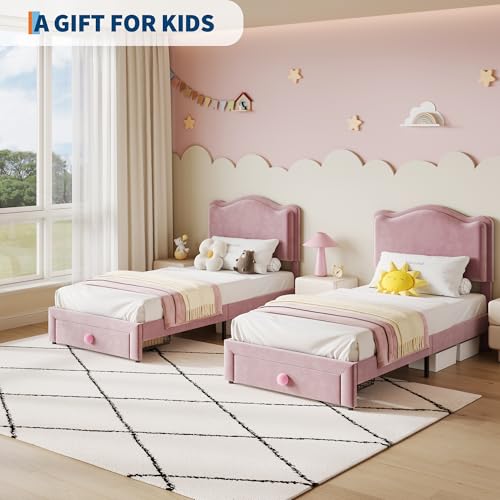 GarveeHome Upholstered Twin Bed Frame with Storage Drawer & Scallop Headboard, Princess Twin Size Platform Bed Frames for Kids Girls, Wooden Slats Support, No Box Spring Needed, Pink