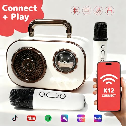 Microphone sans fil pour enfants chantant mini karaoké 2 micros Bluetooth portables