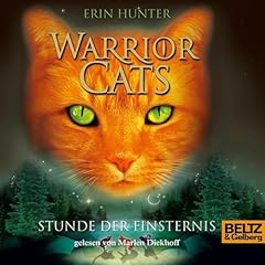Stunde der Finsternis cover art