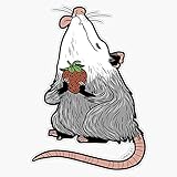 LAD Studio Strawberry Possum Sticker Vinyl Bumper Sticker Decal Waterproof 5'