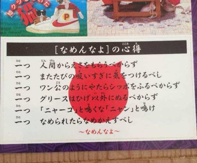 Amazon.co.jp: 絶版元祖なめ猫 なめんなよ なめねこ ステッカーシール