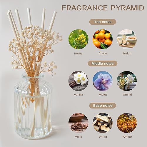 Auelife Reed Diffuser Set, 6.4 oz Cashmere Vanilla Scented Diffuser with Sticks Preserved Real Flower Reed Diffuser Home Fragrance Essential Oil Reed Diffuser for Bathroom Shelf Decor