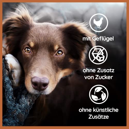 Wildfang® Harties | Käse - Leckerli für Hunde | Belohnungshappen beim Training