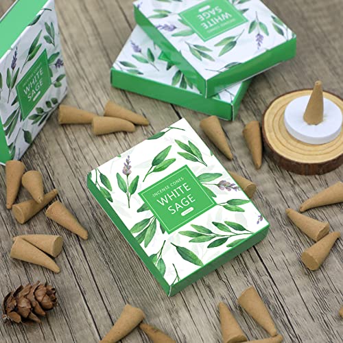 Incense Cones, White Sage Scented Incense Cones With Holder, White Sage Incense Gifts For Mothers Day, Fragrance For Aromatic Rooms Relaxation, 120 Cones Total #TOP6