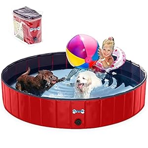 V-HANVER Faltbarer Hundepool für Kleine Mittlere und Große Hunde, Robust Material Planschbecken Bällebad Hunde Pool für Kinder und Hunde mit Durchsichtige Gummitragetasche, 100% Sicher 160CM