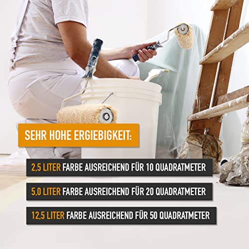 Sockelfarbe Seebauer DIY – Premium-Qualität für Außenanwendungen