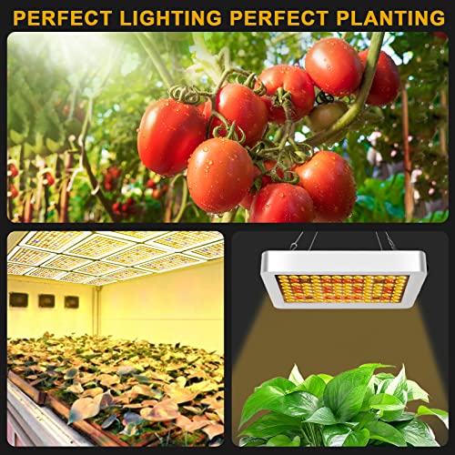 Luyimin 1000W Led Grow Light Sunlike, Uv-Ir Included Full Spectrum Plant Light, Grow Lights For Indoor Plants Seed Starting Seedlings Greenhouse Hydroponic Hanging Growing Lamps With Veg Bloom Switch #TOP6