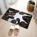 ☆ Múltiples propósitos: los tapetes cómodos para las puertas se pueden usar en baños, dormitorios, cocinas, frente a la puerta y el fregadero, invernaderos o en cualquier lugar de la casa donde necesite apoyo y dedos calientes.