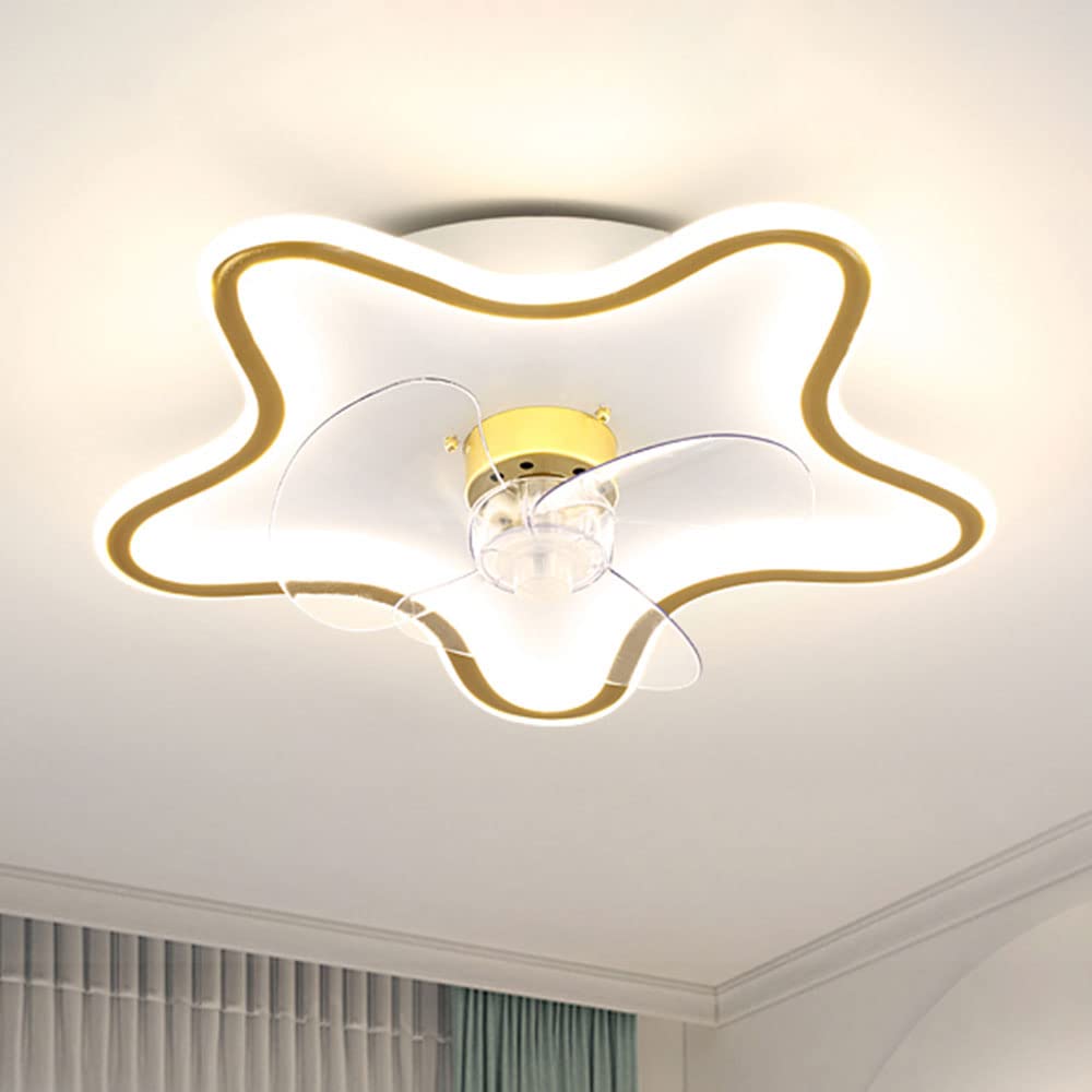 Ventilateur de plafond avec lumière LED dimmable 51W van plafond light 6 vitesses intérieur