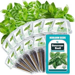 Basil Seed Pods for AeroGarden, Ahopegarden, GARDENCUBE, iDOO and All Hydroponics Growing Systems, 12 Pods Herb Kit with 200+ Seeds of Genovese Basil, Grow Your Own Herb Garden at Home Basil Seed Pods for AeroGarden Ahopegarden GARDENCUBE iDOO and All Hydroponics Growing Systems 12 Pods Herb Kit with 200 Seeds of Genovese Basil Grow Your Own Herb Garden at Home