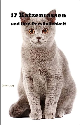 Test Welche Katze Passt Zu Mir Welche katze passt zu dir test - Haustiereleben