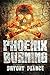 Produktbild Phoenix Burning