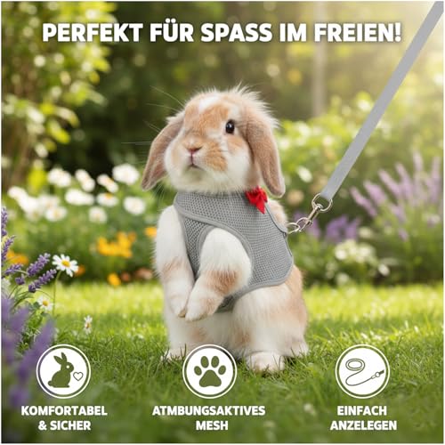 Kaninchen Leine, Zwei Stück Hasengeschirr Set Für Tägliche Spaziergänge, Balkon Aktivitäten Und Freizeit Training, Grau Rosa Farben In Größe M