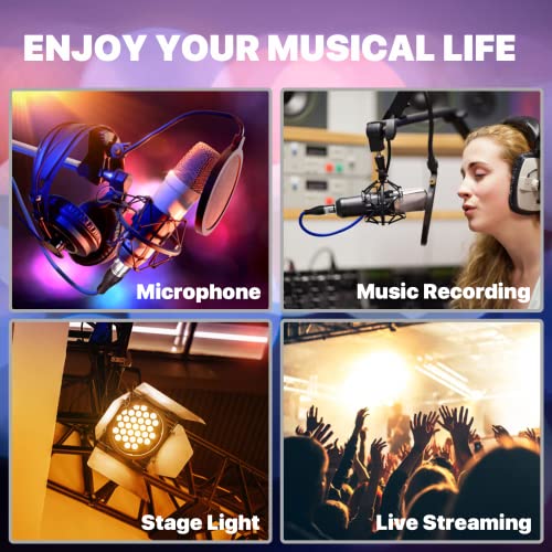 Ebxya Xlr Cable 25Ft 6 Packs - Premium Balanced Microphone Cable With 3-Pin Xlr Male To Female Mic Speaker Cable, (Red, Orange, Yellow, Green, Blue, Black) #TOP4