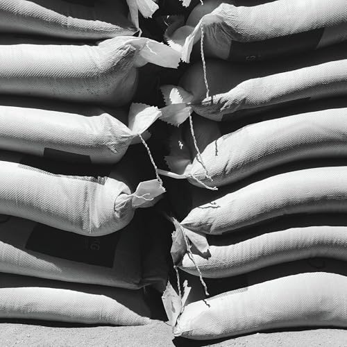 Party for Two | Cottage Country Flooding | Rental Car Dispute | &lsquo;Roomnesia&rsquo;