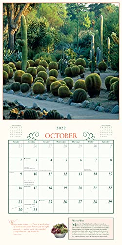 Secret Garden Wall Calendar 2022: A Year of Photographs That Transport You to a Garden Sanctuary.