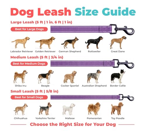 Image of Best Pet Supplies Voyager Reflective Dog Leash or Collar with Neoprene Handle, for Small, Medium, and Large Breed Puppies, Cute and Heavy Duty for Walking, Running and Training - Purple (Leash), M