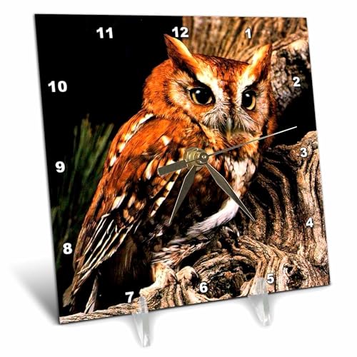 3dRose LLC Owl 6 by 6-Inch Desk Clock