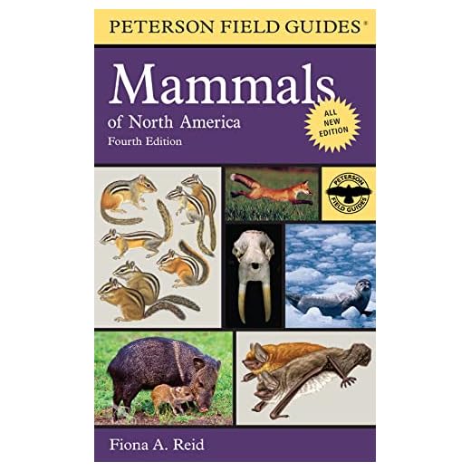 Peterson Field Guide to Mammals of North America: Fourth Edition