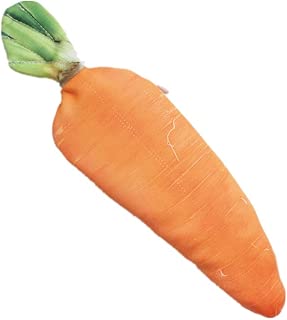 Funnylive Creative Simulation Vegetables Pencil Holders Unique Handbags Makeup Bag Fatty Pork, Carrot, Cabbage, Bamboo Shoots, Balsam Pear Pencil Case (Carrot) - coolthings.us