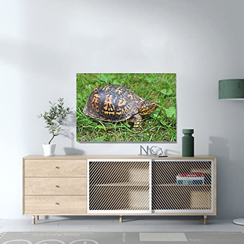 Tableau tortue de terre jaune et noire cadeau déco nature idéal