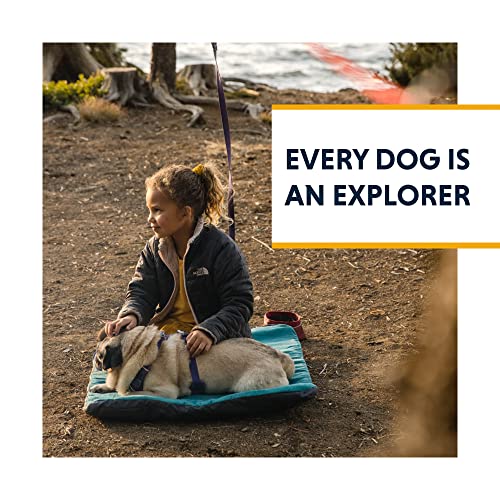 Ruffwear Knot-a-Hitch Leine, red Clay, ONE Size