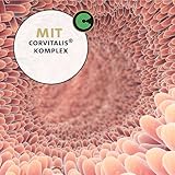 Peticare Katzen Präbiotika & Probiotika | Immunsystem stärken, Darmsanierung, Darmflora aufbauen | lindert Allergie-Anfälligkeit & Juckreiz | mit innovativem Corvitalis® Komplex - petCat Health 3501