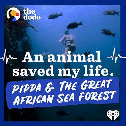 『Pippa & The Great African Sea Forest』のカバーアート