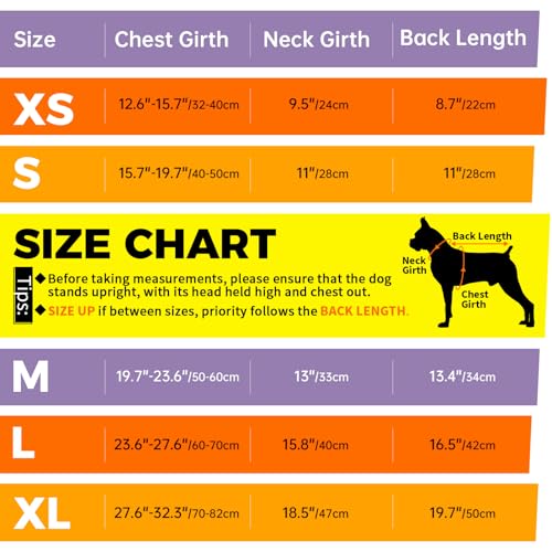 Image of Lelepet Female Dog Diapers with Suspenders, Washable & Reusable Purple S | Adjustable and absorbent dog diapers for heat cycles, incontinence, and senior dogs. Comfortable all-day fit. Pet panties