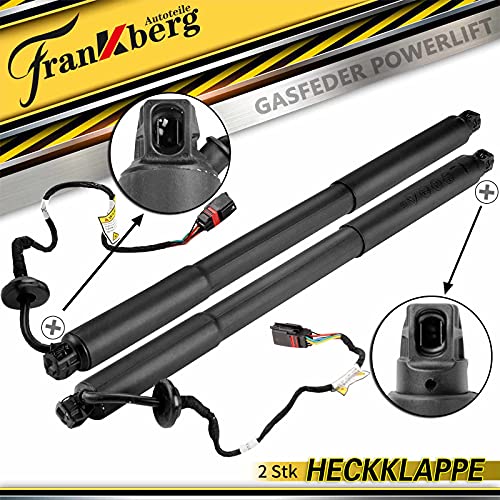 Frankberg 2 molle a gas elettriche Powerlift