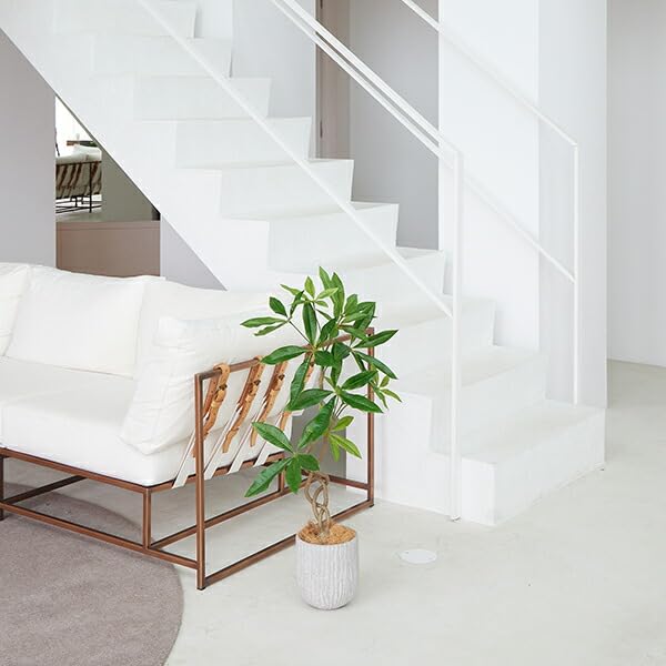 Amazon｜ツイストパキラ オベリスポット H95cm 観葉植物 フェイク